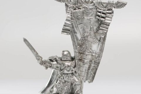 Honor Guard Standard Bearer