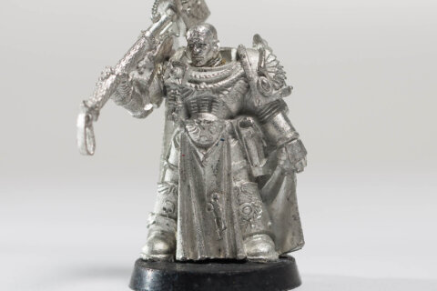 Space Marine Master of the Fleet