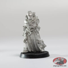 Space Marine Veteran with Lightning Claws