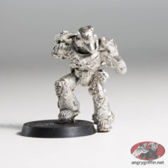 Vanguard Veteran with Plasma Pistol 1