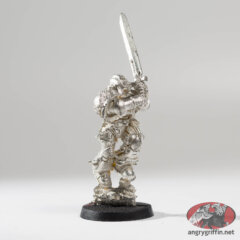 Vanguard Veteran with Relic Blade